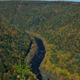 Illustration for article titled Fall Photos 2